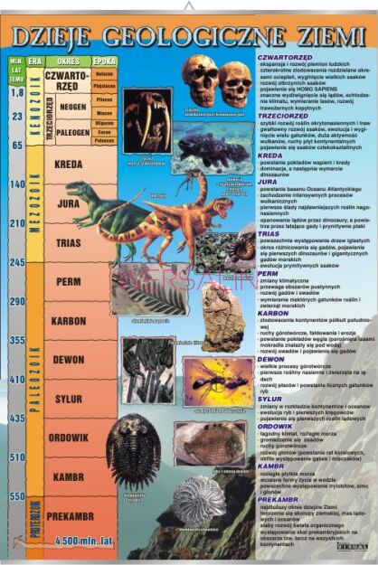 Dzieje geologiczne ziemi