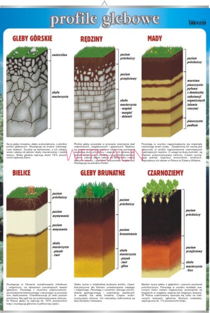 Profile glebowe 